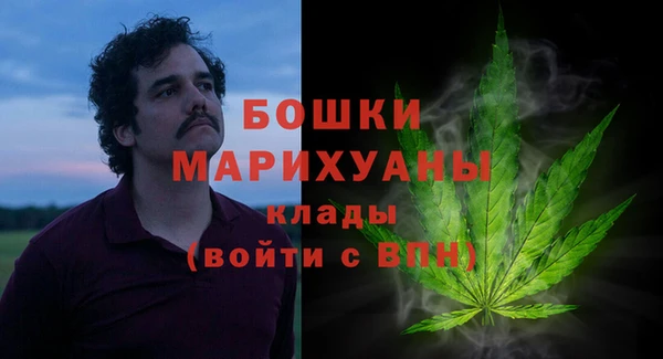 бошки Горняк