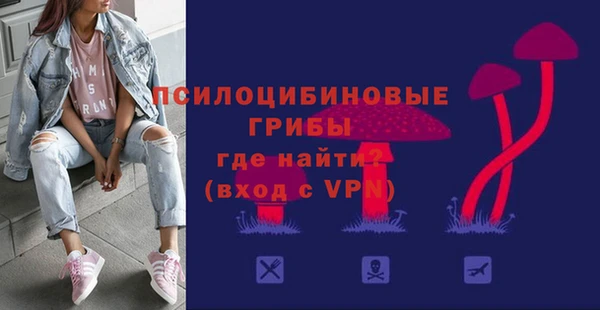 бошки Горняк