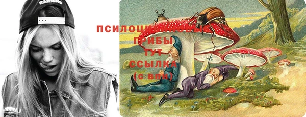 бошки Горняк
