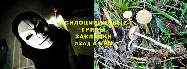 метадон Горнозаводск