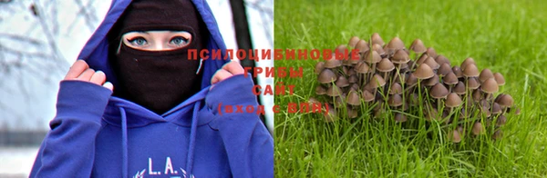 метадон Горнозаводск
