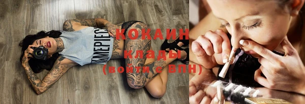 бошки Горняк