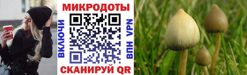 Купить закладки  Байкальск  Галлюциногенные грибы GOLDEN TEACHER 